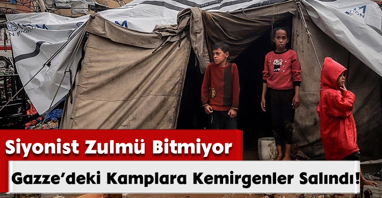 Gazze’deki Kamplara Kemirgenler Salındı!