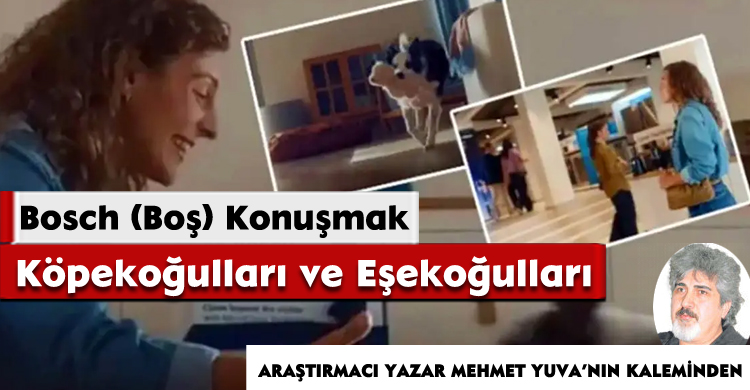 Bosch (Boş) Konuşmak Köpekoğulları ve Eşekoğulları