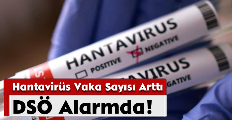 DSÖ Alarmda! Hantavirüs Vaka Sayısı Arttı