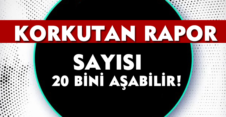  Korkutan Rapor: Sayısı 20 Bini Aşabilir!