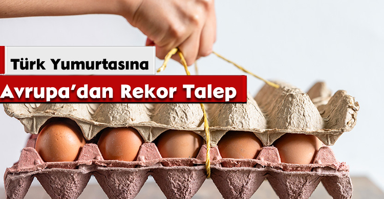 Türk Yumurtasına Avrupa’dan Rekor Talep