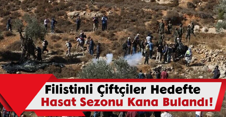 Filistinli Çiftçiler Hedefte:Hasat Sezonu Kana Bulandı!